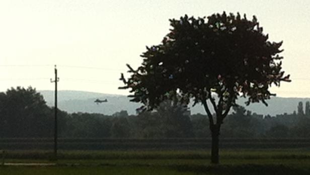 Ein Baum steht auf einem Feld, im Hintergrund ist ein Flugzeug zu sehen.