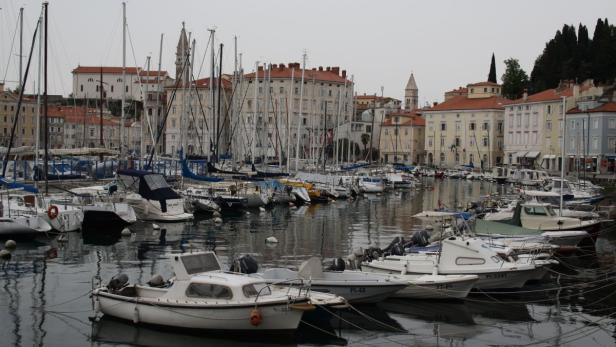 Blick auf einen Hafen mit zahlreichen Booten und Segelbooten vor einer Stadtkulisse.