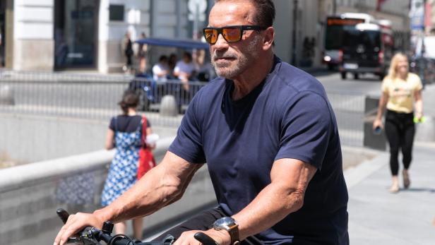 Arnold Schwarzenegger erhält Co-Stars für Netflix-Serie