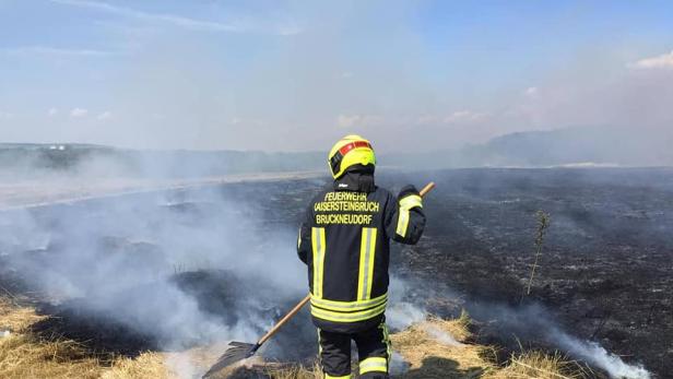 Flurbrände im Burgenland: Wenn die Felder wieder Feuer fangen