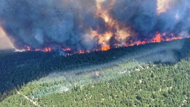Tote, Brände, Ernteausfälle: Chaos im Glutofen Kanada