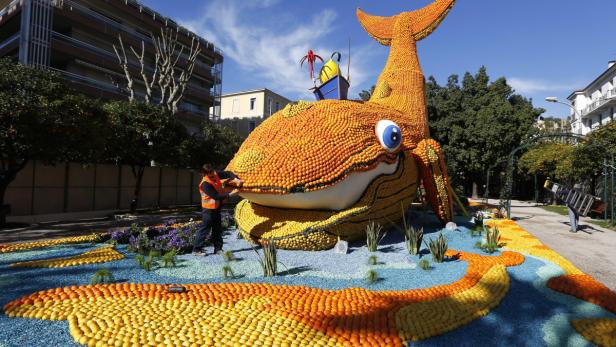 Eine riesige Wal-Skulptur aus Zitrusfrüchten wird von einem Arbeiter in orangefarbener Weste arrangiert.