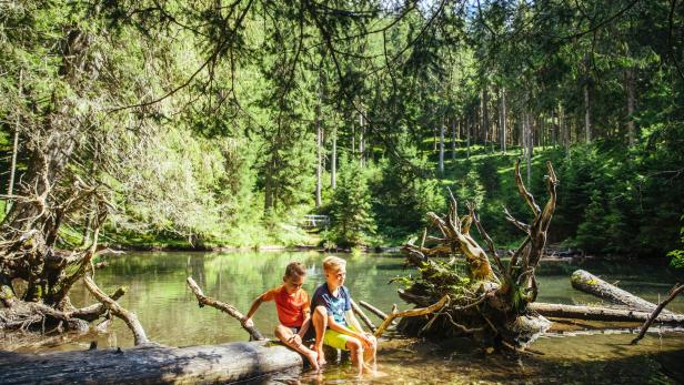 Kinder spielen im Wald am Wasser