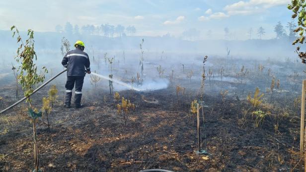Extreme Trockenheit führt zum nächsten Brand in Niederösterreich