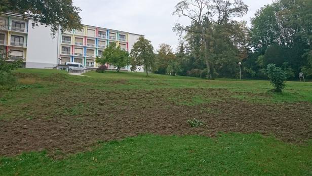 schule