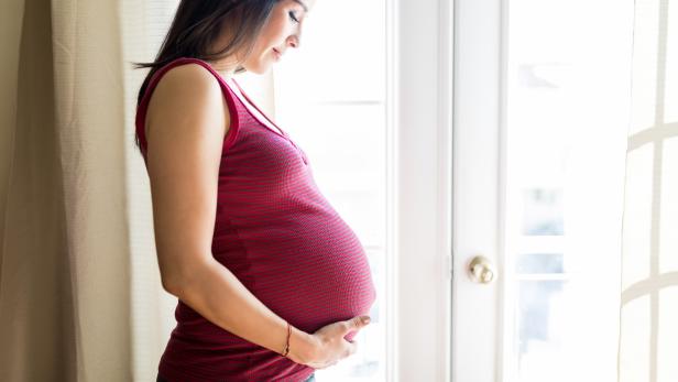 Woman Enjoying Pregnancy At Home