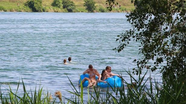 Baum fällt:  Wenn von unerwarteter Seite Gefahr droht