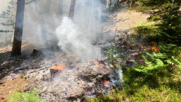 Schwieriger Einsatz: Waldbrand in Gutenstein ist gelöscht