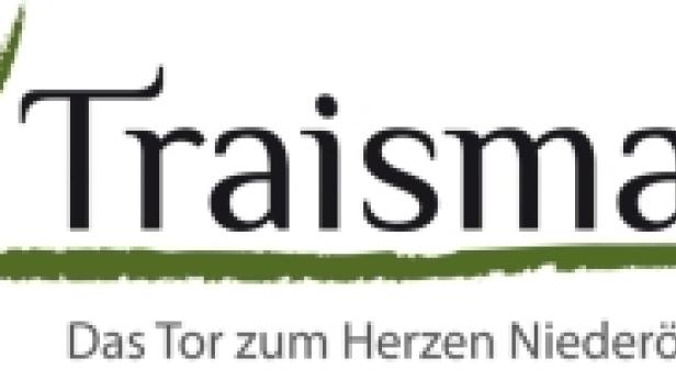 Dialogschmiede - Logo für Traismauer (NÖ)