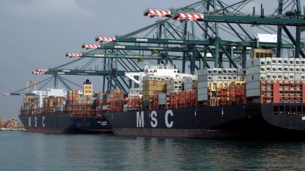 FILE PHOTO: Cargo ships are docked beside cranes at the MSC container terminal at the port of Valencia