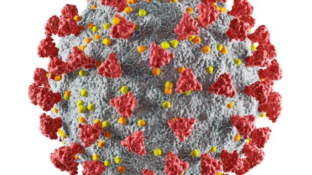 Welche Coronavirus-Mutationen auf uns zukommen können