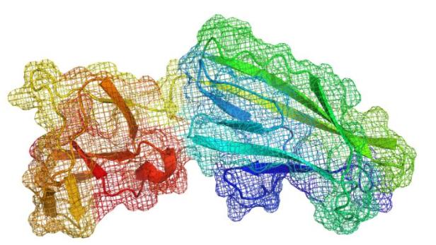 Struktur eines Proteins: Fehler bei den Faltungen können Krankheiten auslösen. Grazer Forscher können noch solche Strukturen mit der Hilfe von künstlicher Intelligenz rascher untersuchen.