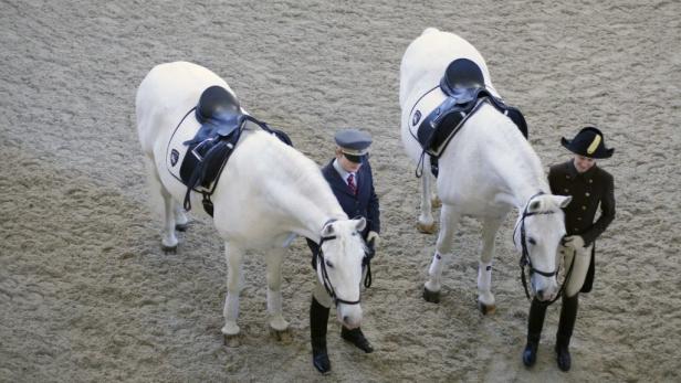 Halbturn: Weiße Pferde in barockem Flair