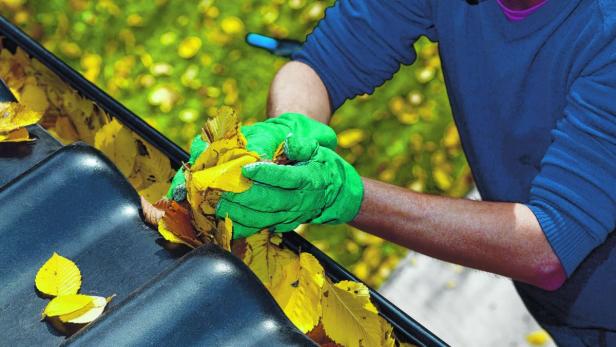 Cleaning the rain gutter during autumn, horizontal