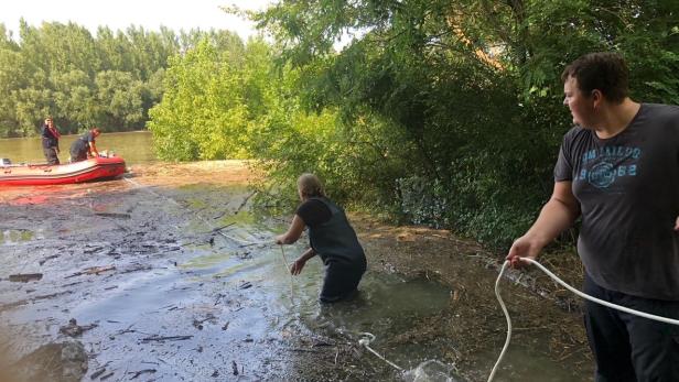 Neun Personen auf Donauzufluss in NÖ gerettet