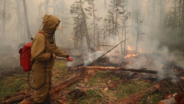 Auch im Norden Russlands Notstand wegen Waldbränden