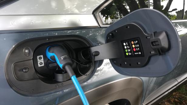Nur 16 Prozent aller E-Autos bei uns werden von Privaten gekauft