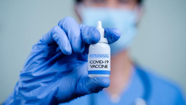 Corona: Nasenvakzine könnten bald als "Booster" eingesetzt werden