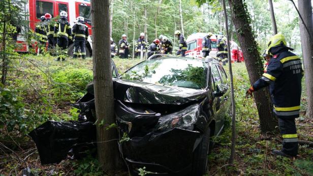 Frontal gegen Baum: Zwei Verletzte bei Unfall im Bezirk Neunkirchen