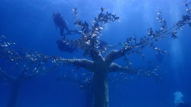 Ayia Napa Underwater Sculpture Museum in Cyprus Unterwasser Museum Ayia Napa