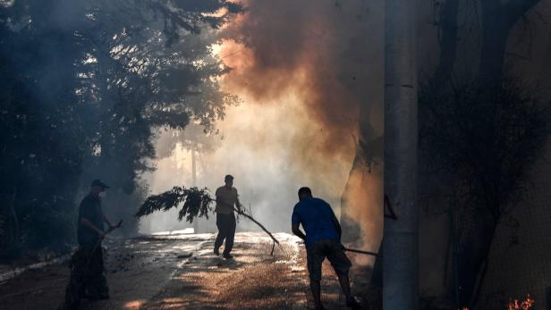 "Wir sind allein": Kein Ende der Brandkatastrophe in Griechenland in Sicht