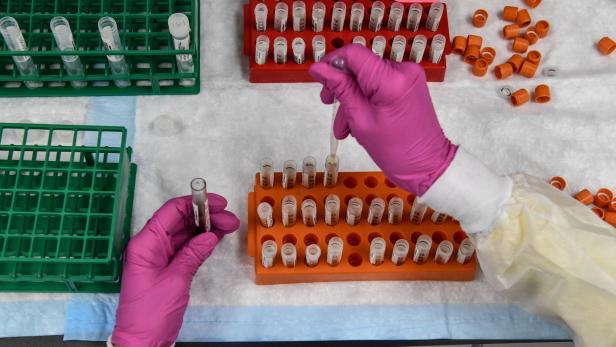 PCR-Schultests werden im VAZ St. Pölten analysiert