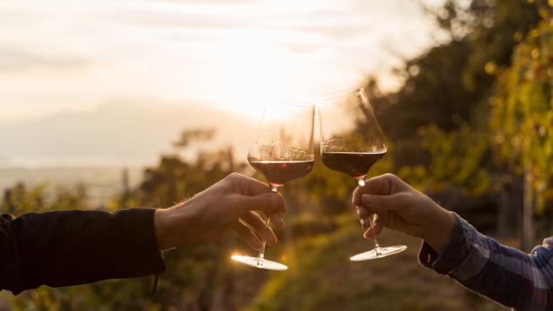 Die 10 spannendsten Weinerlebnisse in Österreich