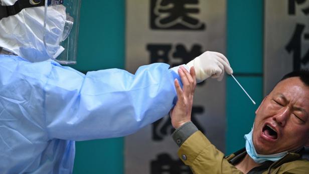 WHO-Experte: Infektion in Wuhan-Labor "wahrscheinliche Hypothese"