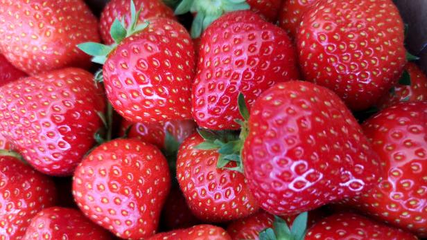 Hohe Pestizidbelastung: Erdbeeren aus Ägypten und Spanien im Test