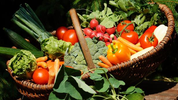 Vegane Kost hilft im Kampf gegen die Klimakrise