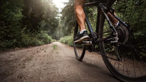 Nur auf ausgewiesenen Strecken erlaubt: Mountainbiker bewegen sich im Wald großteils illegal