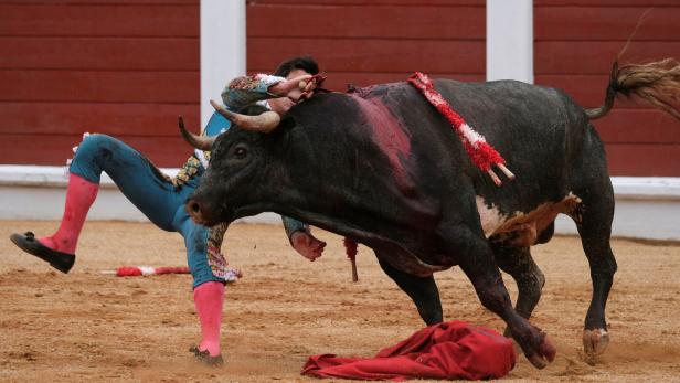 Feminist versetzt Stierkampf in Gjión den Todesstoß