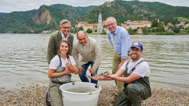 Wachauer Hochwasserschutz hilft Mensch und Natur