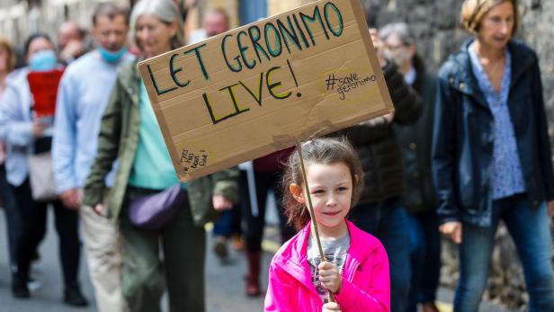 Halterin von Alpaka Geronimo nach Todesurteil in Alarmbereitschaft