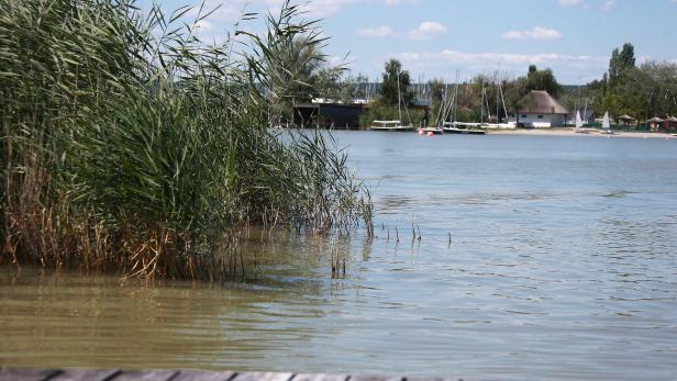 Donau-Wasser für den Neusiedler See?