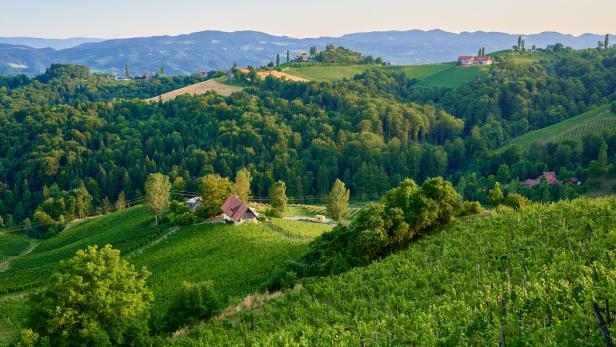 Von Apfel- bis Weinstraße: Die schönsten Seiten der Steiermark