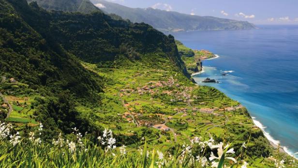 Blick auf ein grünes Tal mit Häusern an der Küste Madeiras.