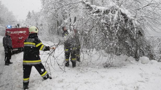 Feuerwehrleute befreien einen Baum von Schnee neben einem Feuerwehrfahrzeug.