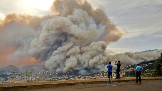 Feuer in der Nähe von Funchal