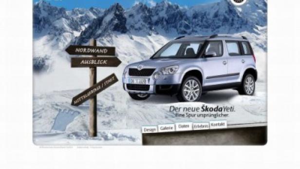Ein silberner Škoda Yeti vor einer verschneiten Berglandschaft mit Wegweisern.
