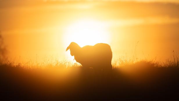 Eins, zwei - und vorbei: Das Ende des Sommers naht