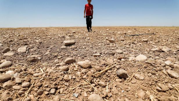 Weltbank erwartet 216 Millionen Klimaflüchtlinge bis 2050
