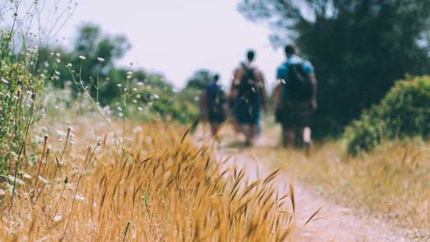 Lust auf Österreich_Wandern für Anfänger