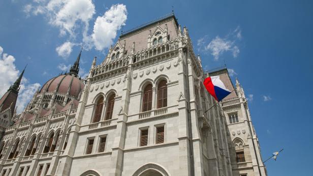 Abgeordneter rastete aus: Eklat im tschechischen Parlament