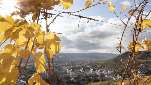 Ein Herbst voller Kultur: Veranstaltungen in Krems und der Wachau