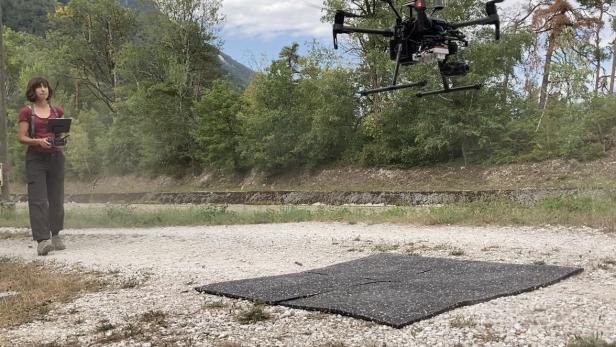 Drohnenbilder machen "durstige" Bäume erkennbar