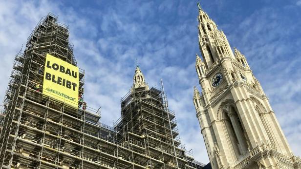 Greenpeace-Aktivisten protestieren gegen Lobautunnel im Wiener Rathaus