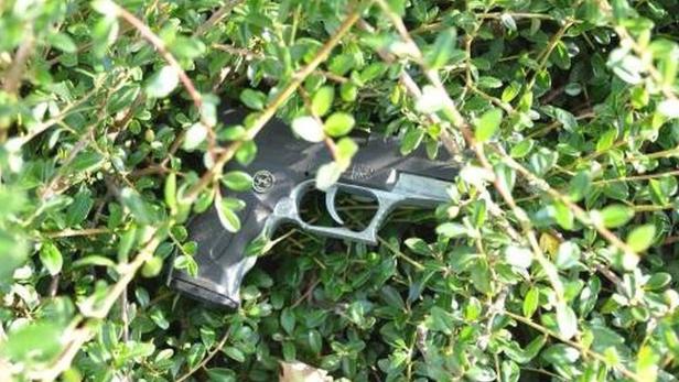 Eine Pistole liegt versteckt in einem grünen Busch.