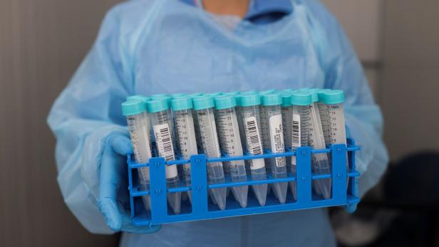 Kärnten: Gefälschte Test- und Impfzertifikate im Umlauf