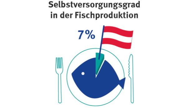 So nachhaltig stillen ÖsterreicherInnen ihren Fischhunger wirklich